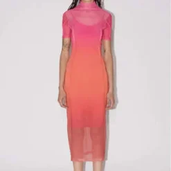 SAEMDISaemdi Gradient Mesh Dress - Pink/Orange